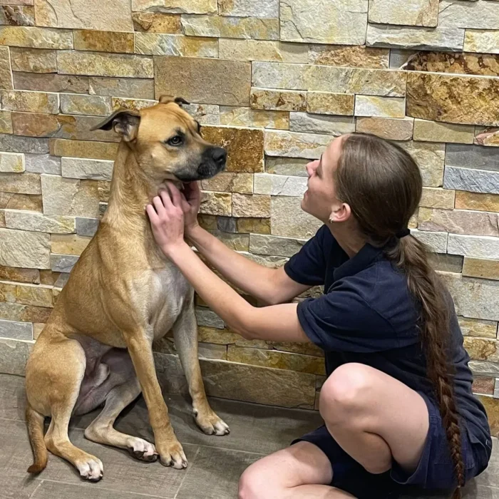 tucker-rescue-dog-2