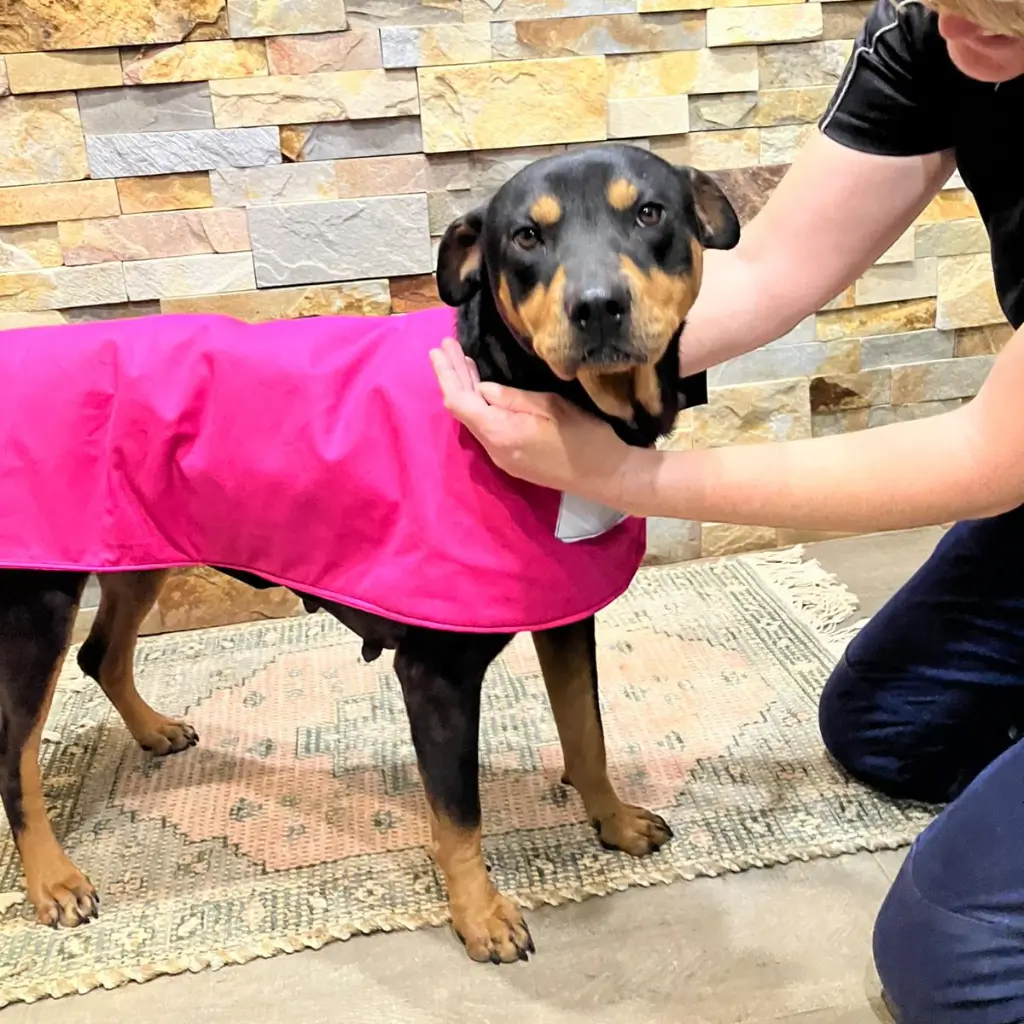 Brook Rescue Story