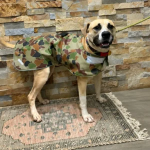 Rex